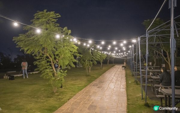 鹿雅森林位於台中沙鹿嘅夜景咖啡店，座落響山層嘅玻璃屋，夜晚點...