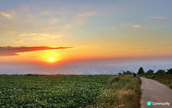 鹿雅森林位於台中沙鹿嘅夜景咖啡店，座落響山層嘅玻璃屋，夜晚點...