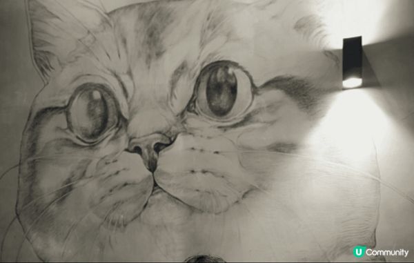 在觀塘東廣場Cafe去鋪面文青風及裏便牆身有貓貓圖案打卡一流...