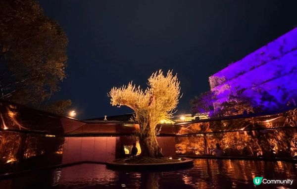 大阪世博 首日就入場