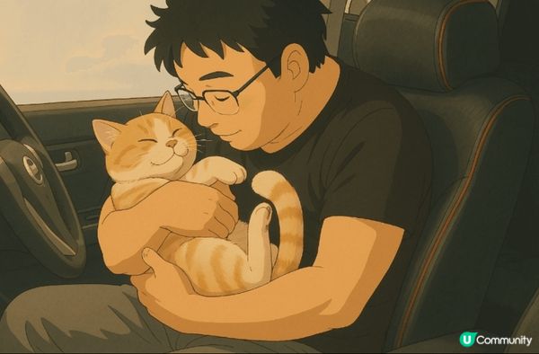 🥰家中兩隻可愛的貓咪，🐻🐱粟子和柚子，每天看著你們嬉戲打鬧，...