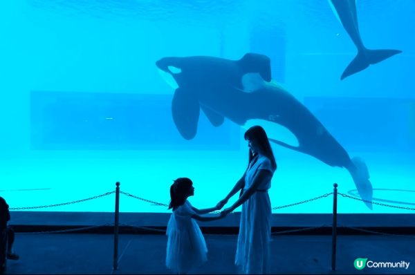這裏是珠海長隆海洋王國及宇宙飛船，我喜歡海洋王國是因為這裡是...