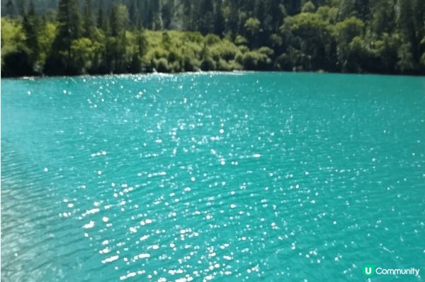 九寨溝仍是人間仙境,疫情後到此一遊