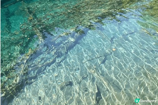 九寨溝仍是人間仙境,疫情後到此一遊