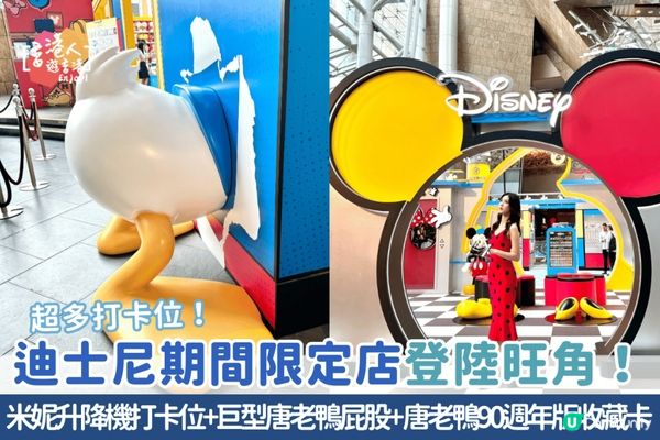 《直擊 : 鴨迷大召集 📣📢》