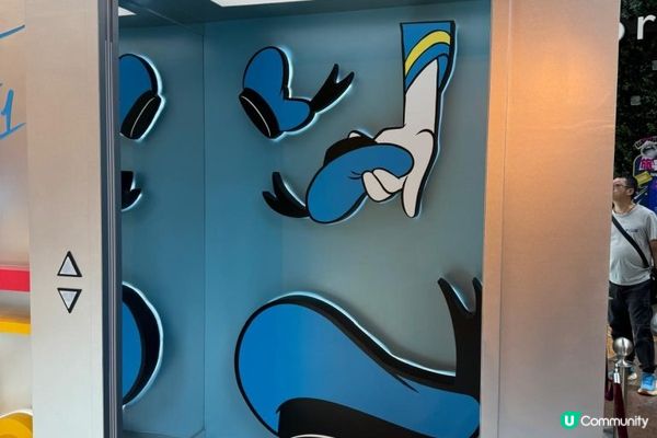 《直擊 : 鴨迷大召集 📣📢》