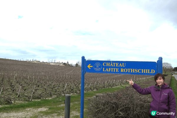 本人係紅酒愛好者, 去法國旅行, 除了巴黎外, 一定要推介去...