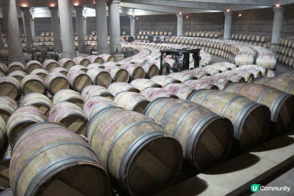 本人係紅酒愛好者, 去法國旅行, 除了巴黎外, 一定要推介去...