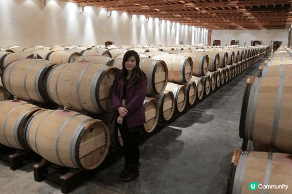 本人係紅酒愛好者, 去法國旅行, 除了巴黎外, 一定要推介去...