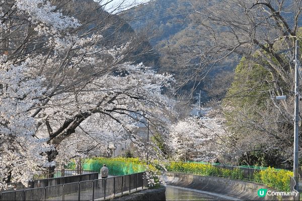 美味甜品令人心情開朗，令旅程更加甜蜜豐富。