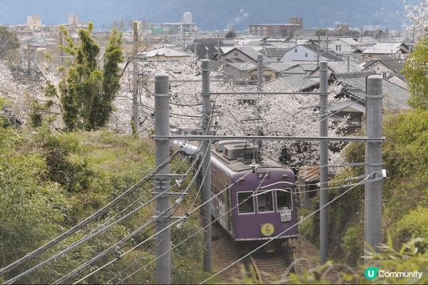 美味甜品令人心情開朗，令旅程更加甜蜜豐富。