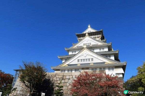 日本大阪四季都值得去,11月開始有紅葉睇,大阪城是必去打卡景...