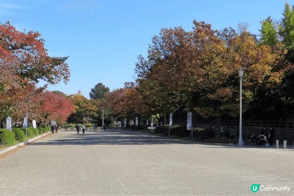 日本大阪四季都值得去,11月開始有紅葉睇,大阪城是必去打卡景...