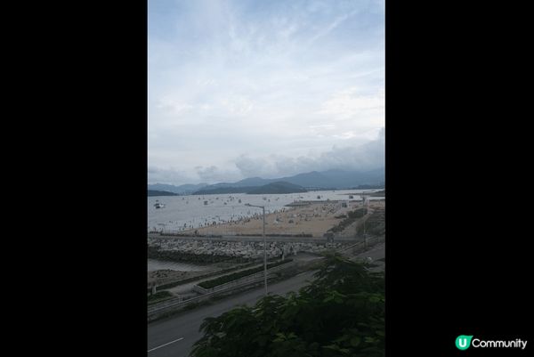 位於大尾篤龍尾灘附近嘅打卡貓貓cafe,有好多百厭BB貓陪你...