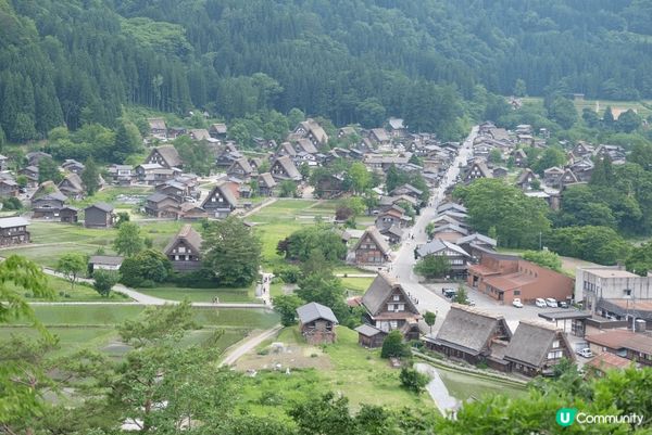 名古屋遊，伊勢神宮美食、明花之里繡球花，合掌村，超正
