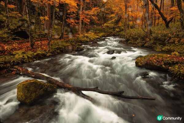 日本東北青森?奧入瀨溪流，可以由青森站或八戶站乘JR巴士前往...
