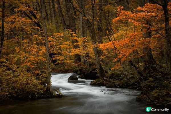 日本東北青森?奧入瀨溪流，可以由青森站或八戶站乘JR巴士前往...