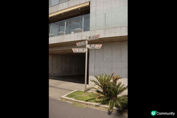 日本東京係每年都可以去?一次既城市，每一幅都好似畫一樣靚同有...