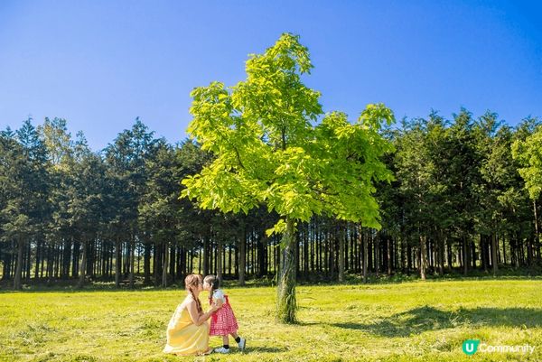 日本駕著露營車，環繞富士山周邊玩，玩到邊住到邊，在露營場ch...