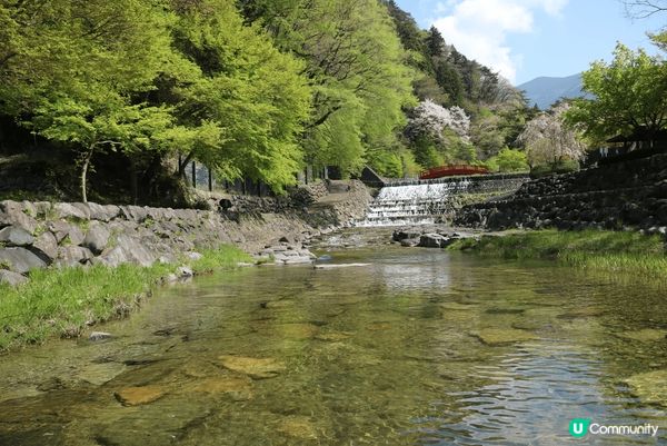 步行到每個地方風景都是優美好有大自然的生命,日本春夏秋冬都甘...