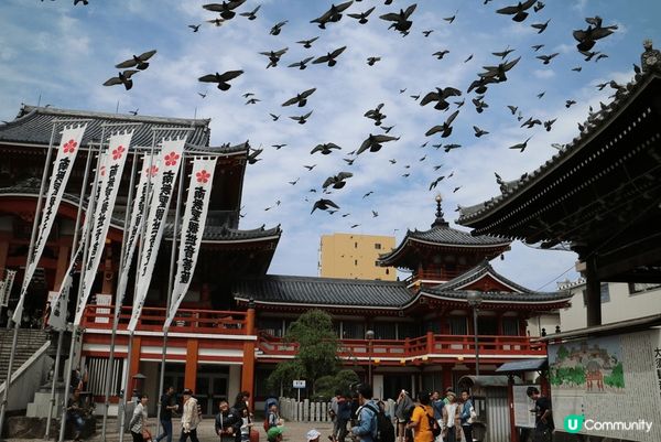 步行到每個地方風景都是優美好有大自然的生命,日本春夏秋冬都甘...