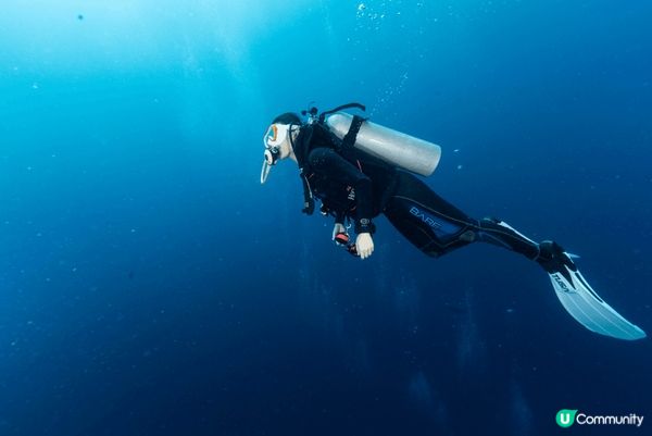 最中意去菲律賓潛水，水清又魚多珊瑚多，好似去左另一個星球咁～...