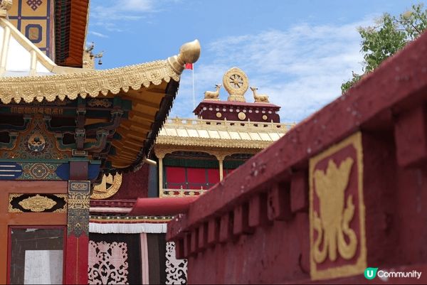 去了西藏，非常特別的地方，不同的文化，人物，景色，一生人必去...