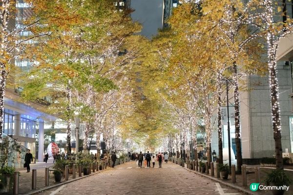 【#思思賢嘆世界】2024東京聖誕節必去1️⃣ 浪漫香檳金！丸の内聖誕燈飾 ✨