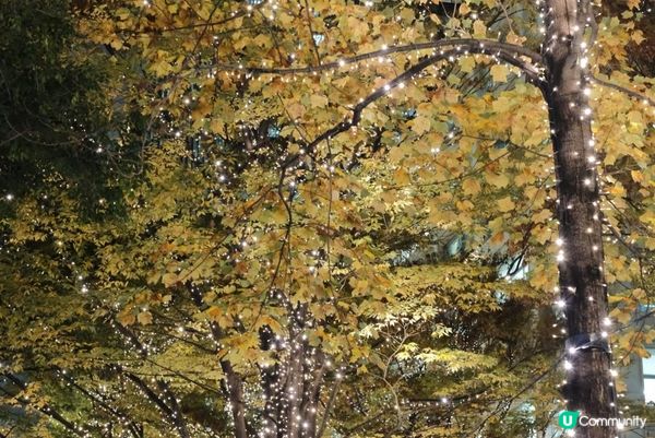 【#思思賢嘆世界】2024東京聖誕節必去1️⃣ 浪漫香檳金！丸の内聖誕燈飾 ✨