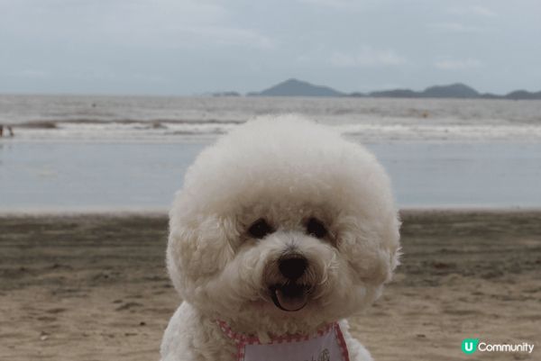 Hello大家好吖😘我係卡洛B Calbee吖🐻‍❄️我最近...