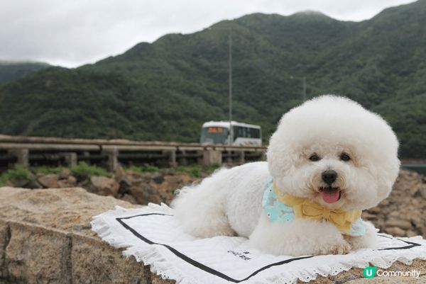 Hello大家好吖😘我係卡洛B Calbee吖🐻‍❄️我最近...