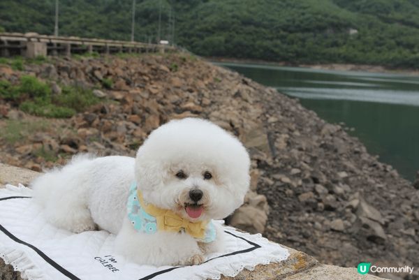 Hello大家好吖😘我係卡洛B Calbee吖🐻‍❄️我最近...