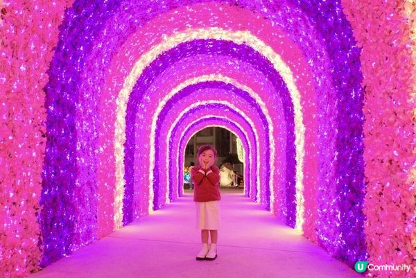 2024聖誕好去處｜黃埔天地｜黃埔號｜Vivid Luminary Fest｜浪漫花圃🌹