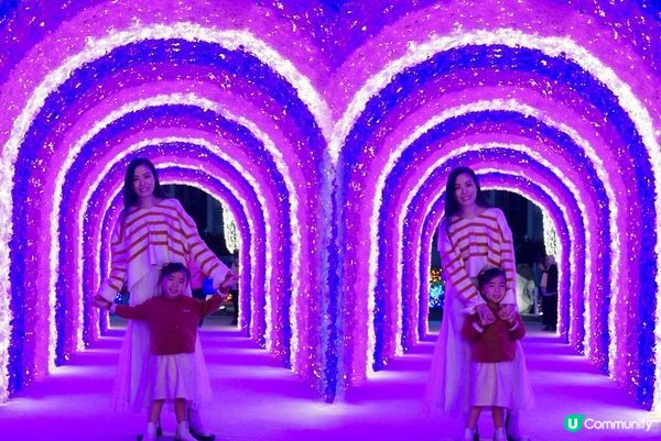 2024聖誕好去處｜黃埔天地｜黃埔號｜Vivid Luminary Fest｜浪漫花圃🌹