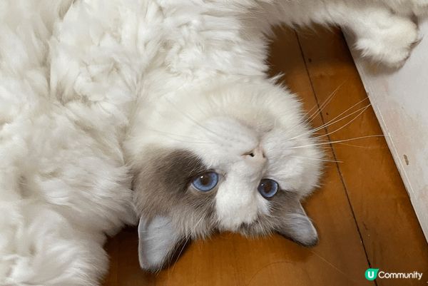 過個暖笠笠冬天
