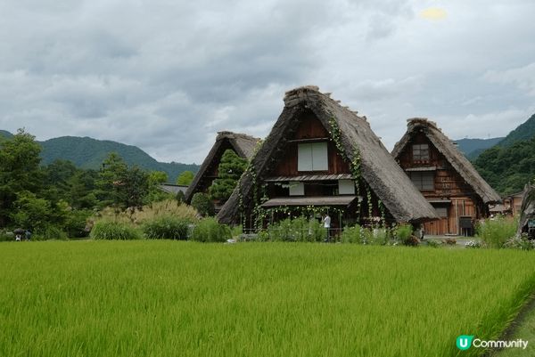 東京大阪多人去，但人多煩擾。名古屋人少又有美麗風景，寧靜又有...