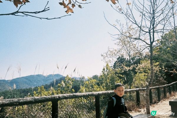 新春步步高-千島湖+ TramCafe. ～