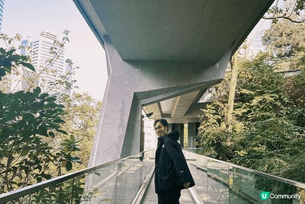 新春步步高-千島湖+ TramCafe. ～