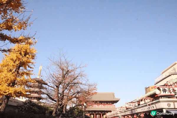 東京雷門～秋天去庭園超好看，很有氛圍。