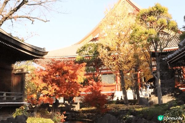 東京雷門～秋天去庭園超好看，很有氛圍。