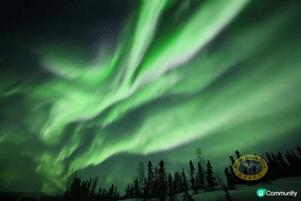 看極光是不少人的人生夢想，極光絢麗而神秘，卻可遇不可求.