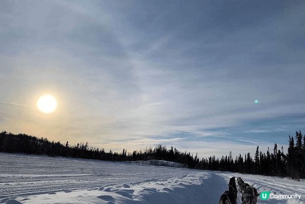 看極光是不少人的人生夢想，極光絢麗而神秘，卻可遇不可求.