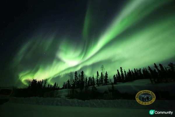 看極光是不少人的人生夢想，極光絢麗而神秘，卻可遇不可求.