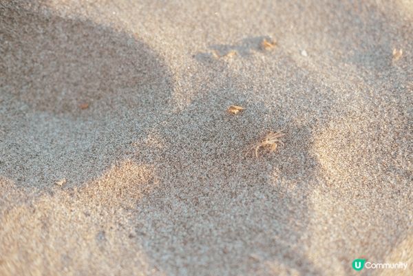 這裏是日本鎌倉的沙灘，陽光灑在金色沙灘上，海浪輕輕拍打岸邊，...