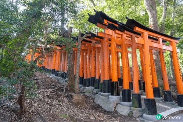 我覺得伏見稻荷大社是必去的景點，社內的[千本鳥居]更是熱門的...