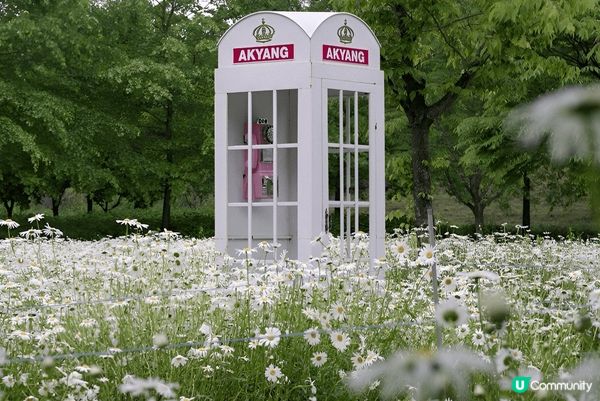 如果鍾意大自然賞花打卡，推薦你去慶尚南道咸安岳陽生態公園，連...