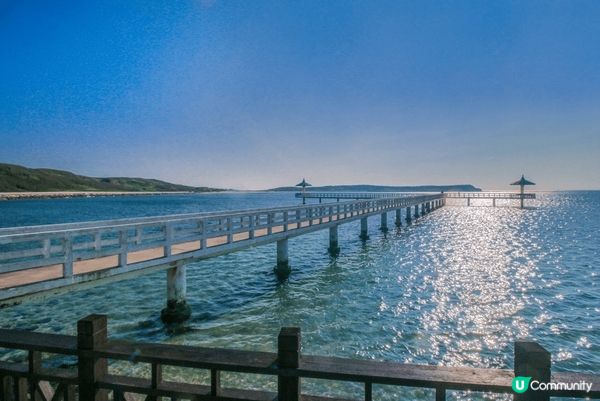 T字型曲橋搭配湛藍海岸線，形成超夢幻景點，漲潮時涼亭彷彿水上...