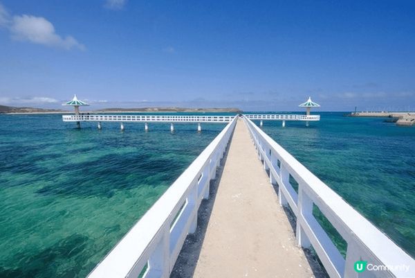 T字型曲橋搭配湛藍海岸線，形成超夢幻景點，漲潮時涼亭彷彿水上...