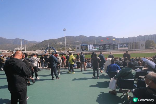 沙田馬埸，西貢，車公廟，舒服輕鬆自在周圍環境身心健康