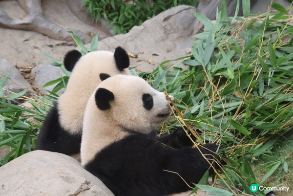 夏天梗係要去海洋公園玩